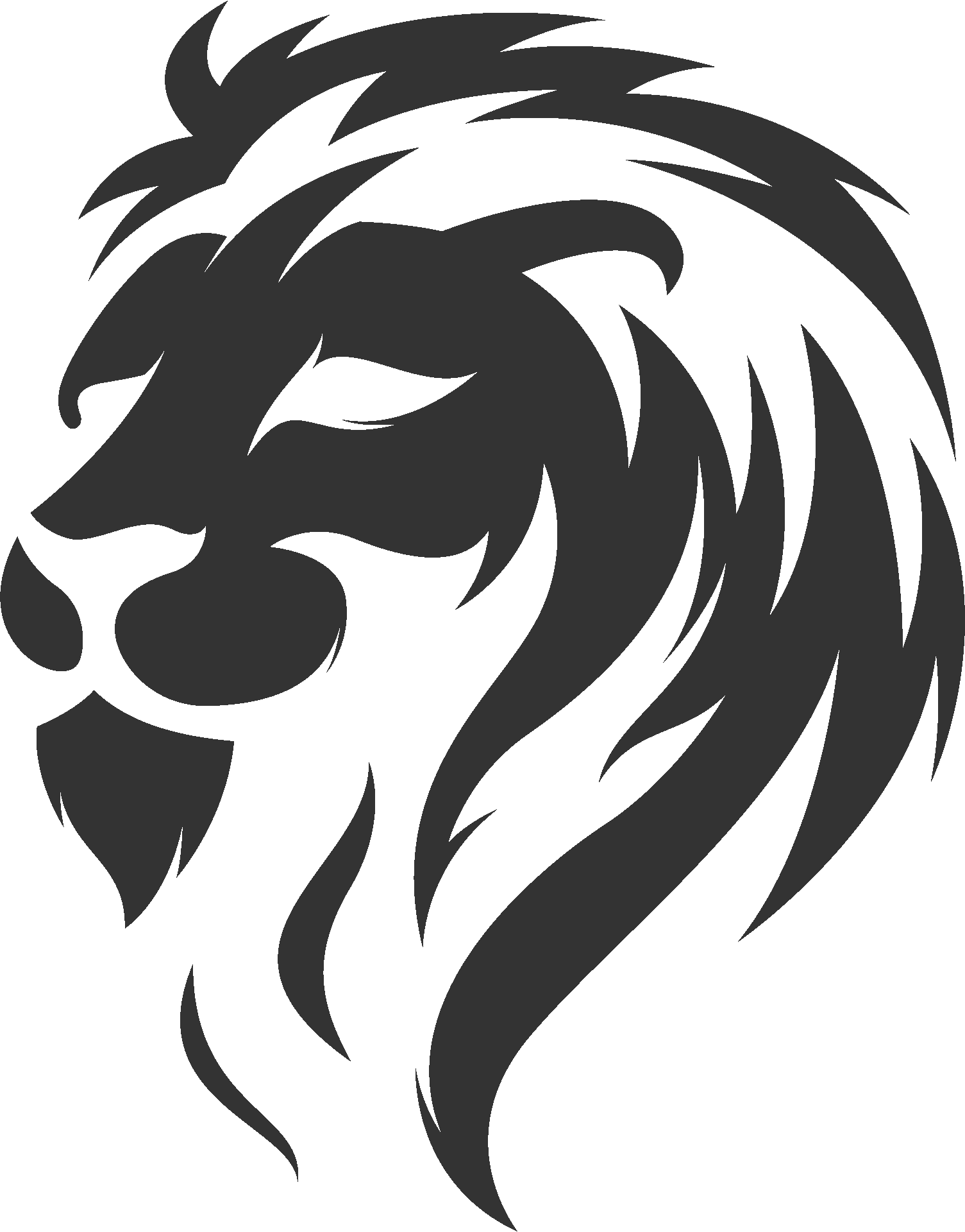 Webdesign & SEO aus Vaihingen – Roland Thunig